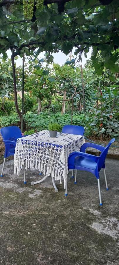 Apartament Teuta Permet Bagian luar foto