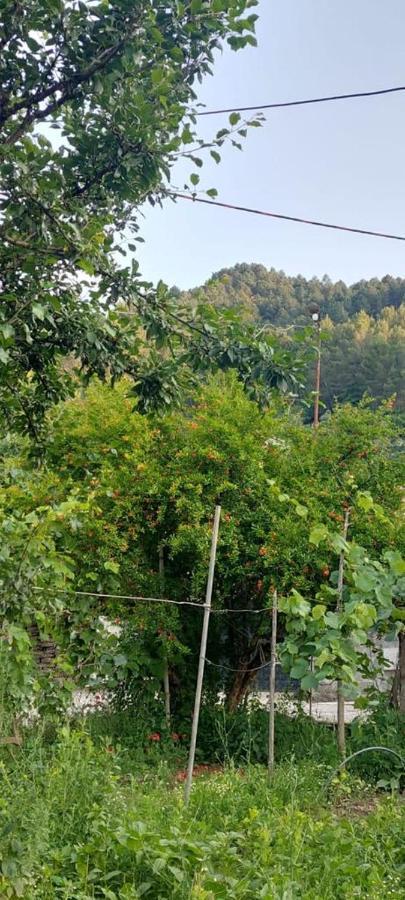 Apartament Teuta Permet Bagian luar foto